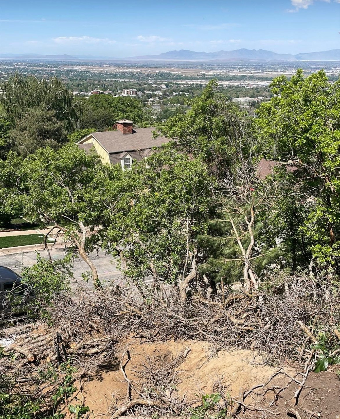 BONA VILLA PARK - Land