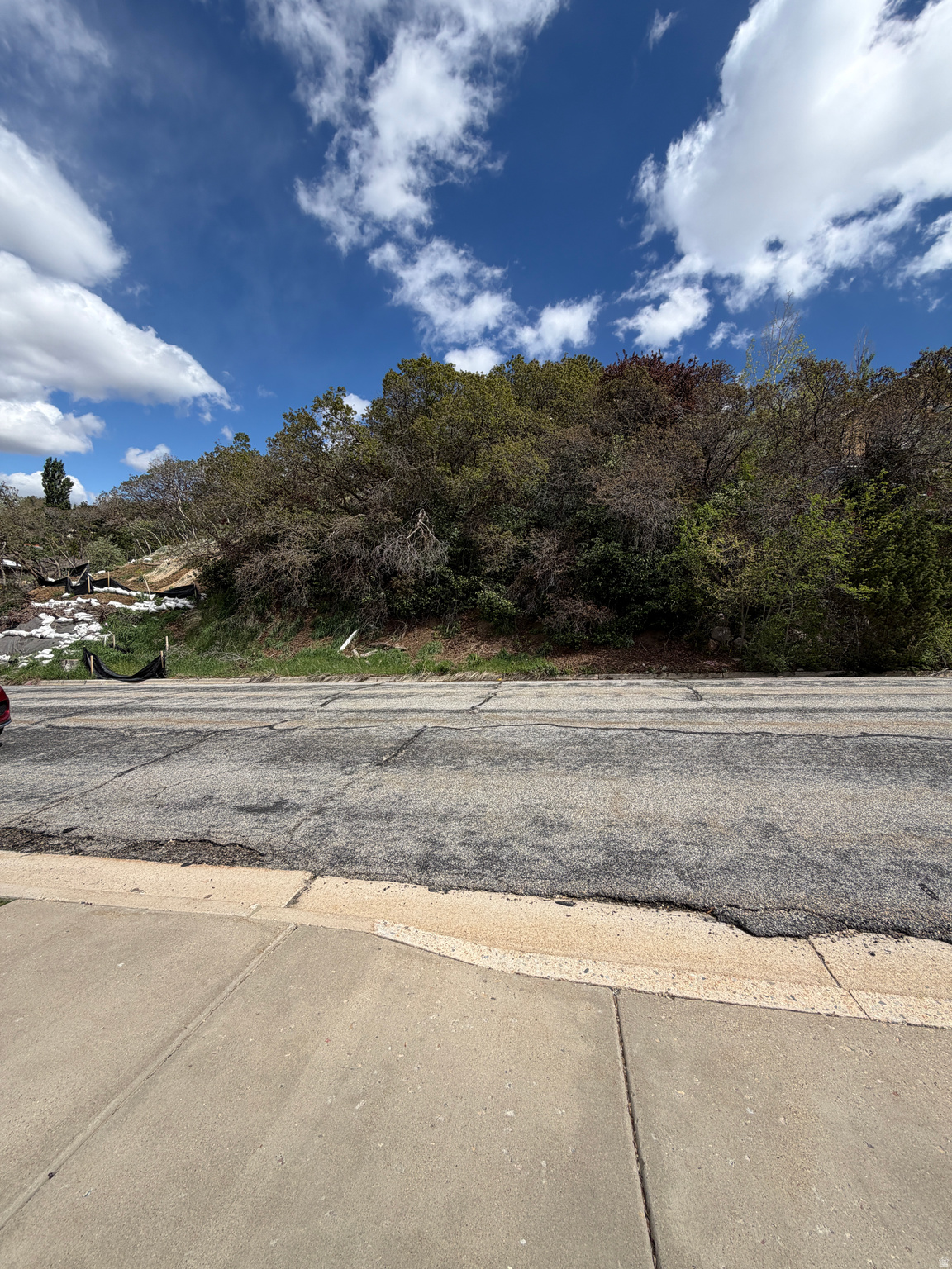 BONA VILLA PARK - Land