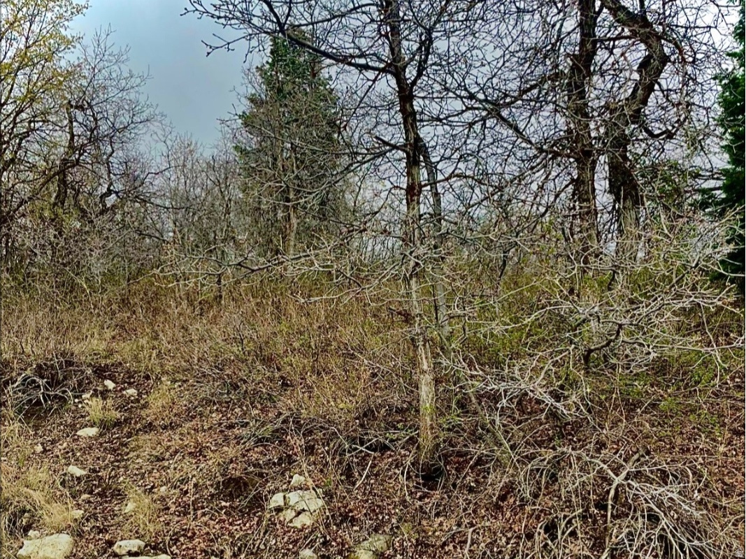 PLAT B ASPEN HILLS SUBD - Land