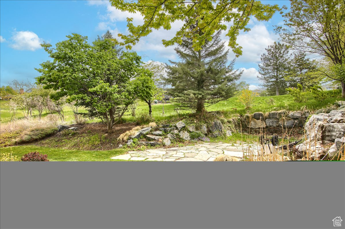 954 Mink Cir, North Salt Lake, Utah image 23