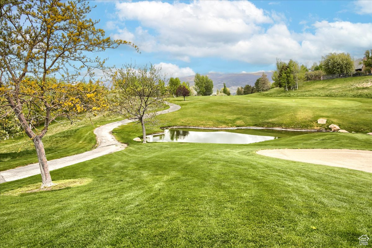 954 Mink Cir, North Salt Lake, Utah image 26