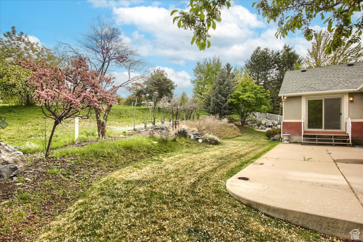 954 Mink Cir, North Salt Lake, Utah image 24