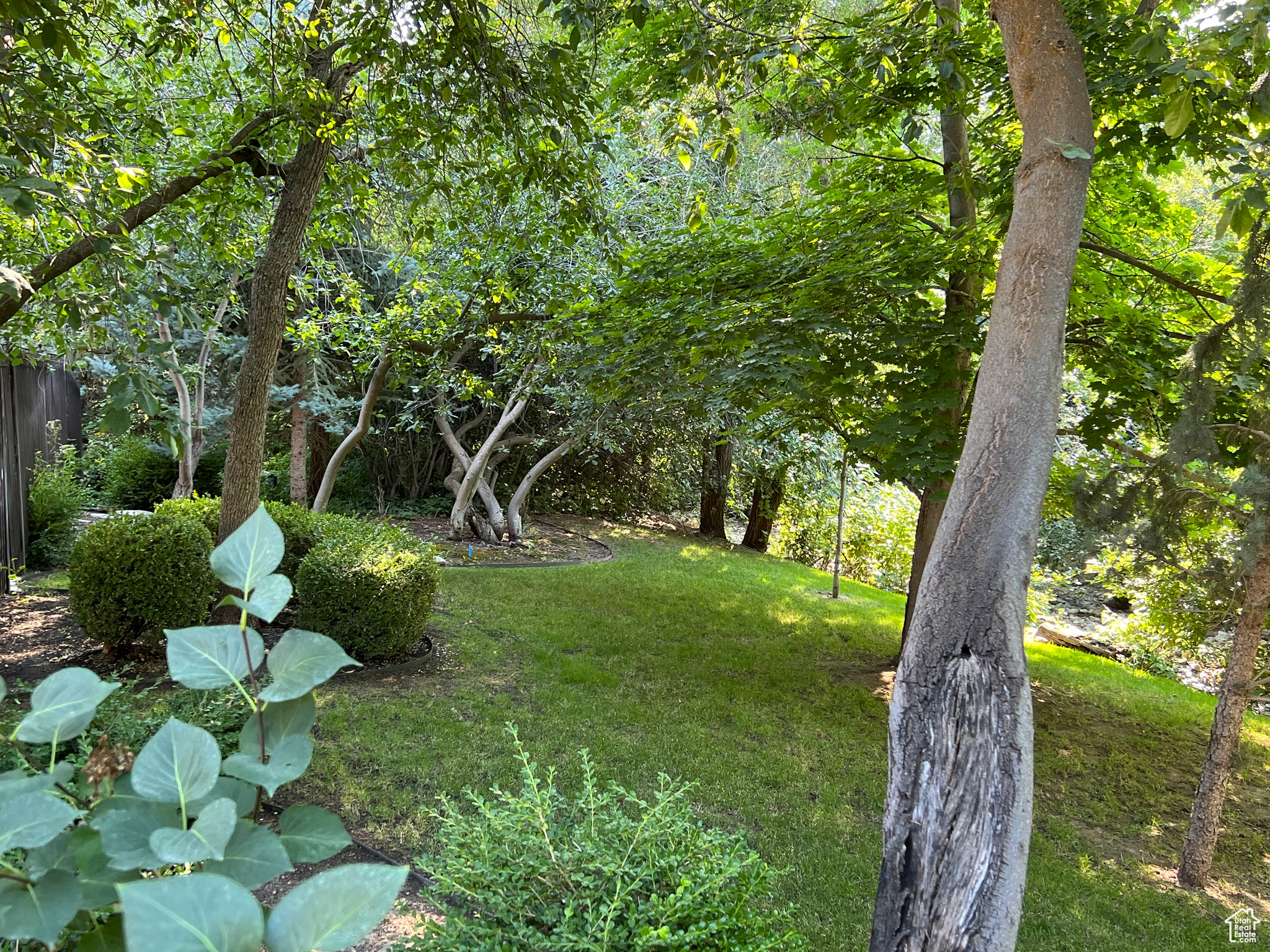 5137 Skyline Pkwy, Ogden, Utah image 29
