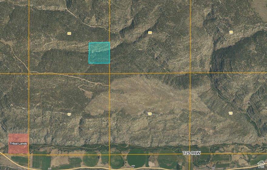 40 acres of natural wilderness.  Own your slice of peace and tranquility.  This parcel is 11 miles from Tabiona and north of HWY 35.  There is no road access to this parcel so it is truly peaceful.  It is surrounded by Your Living Ranch Land and just 5 minutes from the D. Gary Young Wildlife Sanctuary.