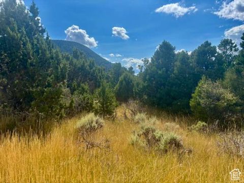 Vacant Land For Sale - 2102 S High Cedar View Dr<br/> Iron County, Cedar City, UT 84720