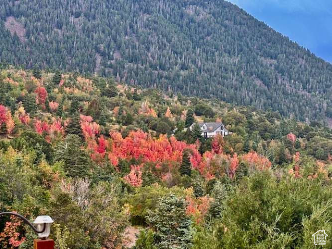 CEDAR HIGHLANDS SUBDIVISION - Land