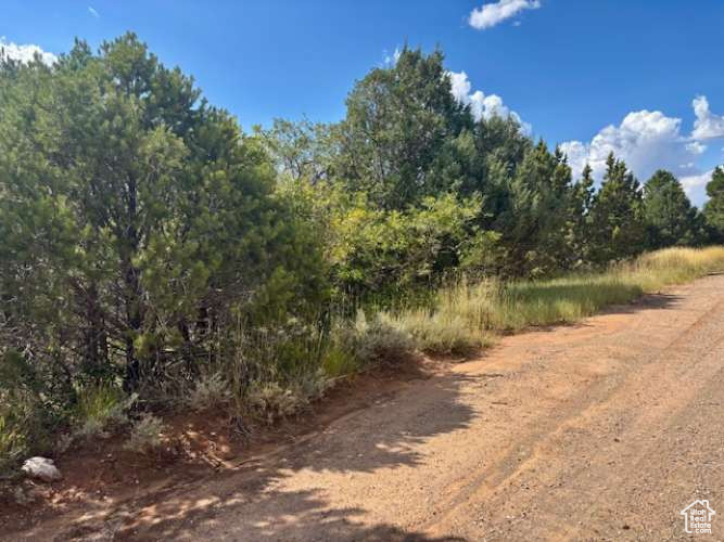 CEDAR HIGHLANDS SUBDIVISION - Land