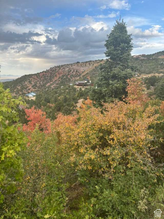 CEDAR HIGHLANDS SUBDIVISION - Land