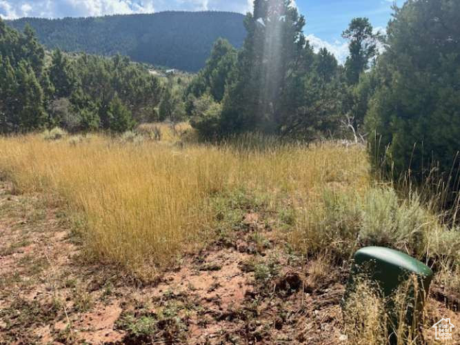 CEDAR HIGHLANDS SUBDIVISION - Land