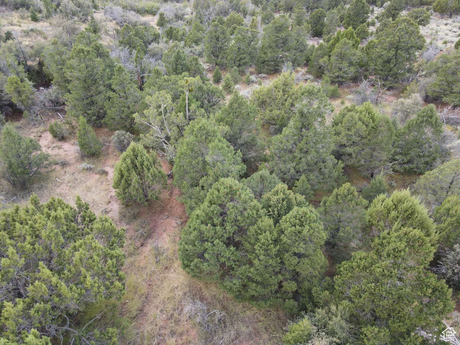 CEDAR HIGHLANDS SUBDIVISION - Land