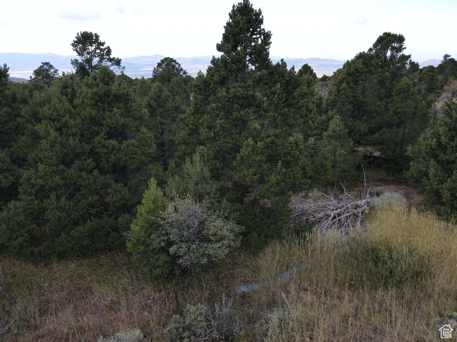 CEDAR HIGHLANDS SUBDIVISION - Land