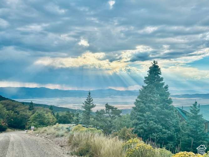 CEDAR HIGHLANDS SUBDIVISION - Land