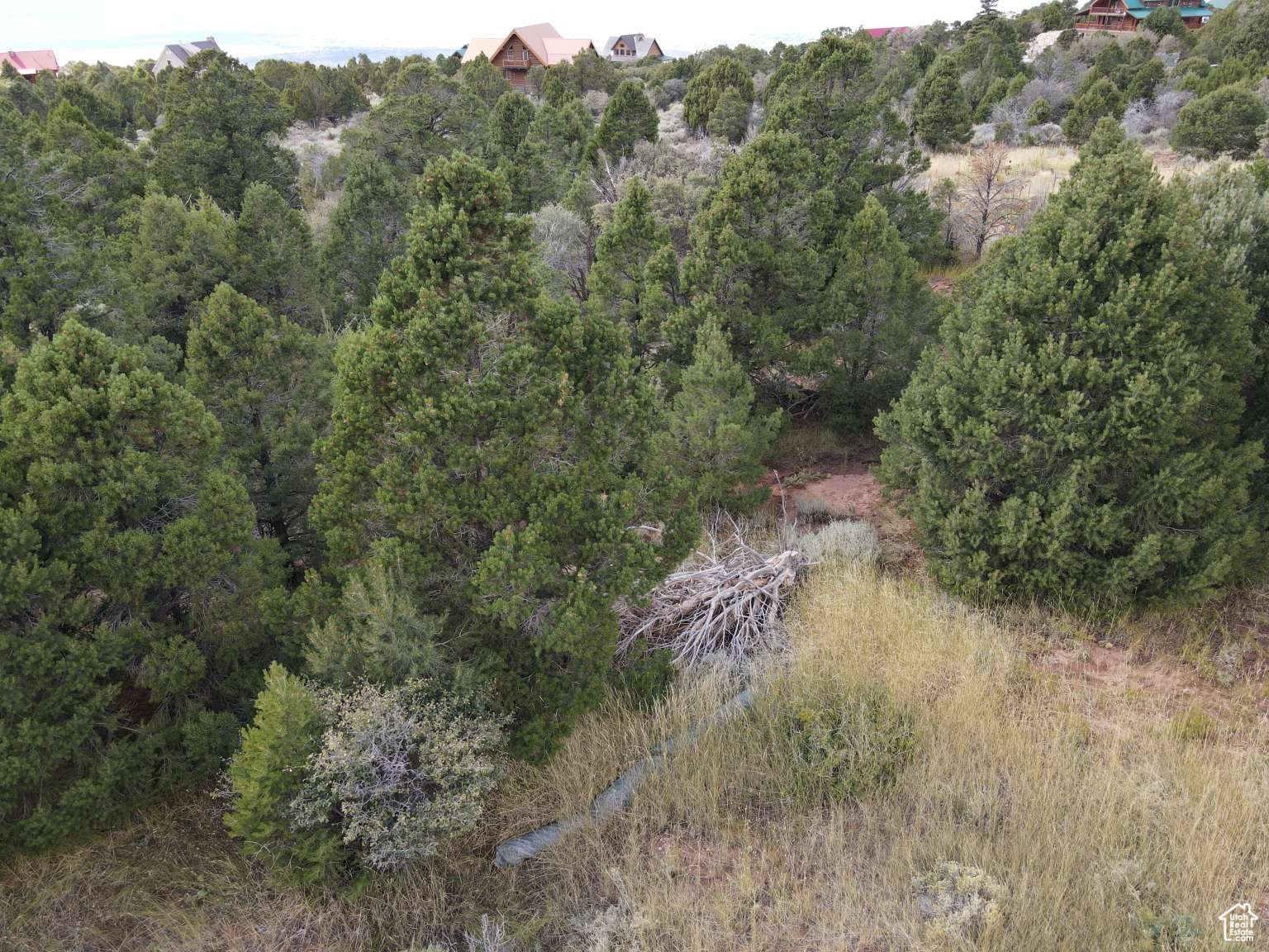 CEDAR HIGHLANDS SUBDIVISION - Land