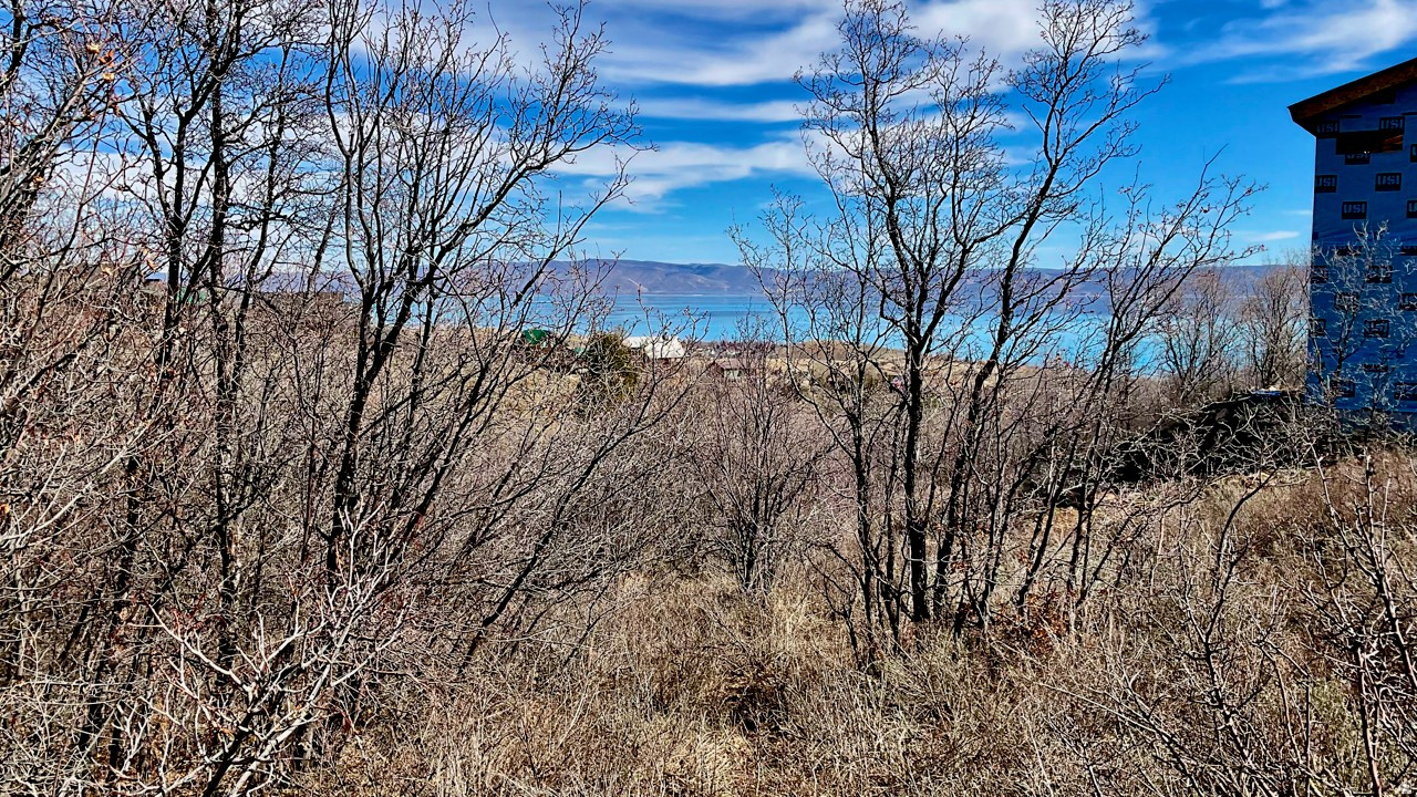 BEAR LAKE WEST PLAT C - Land