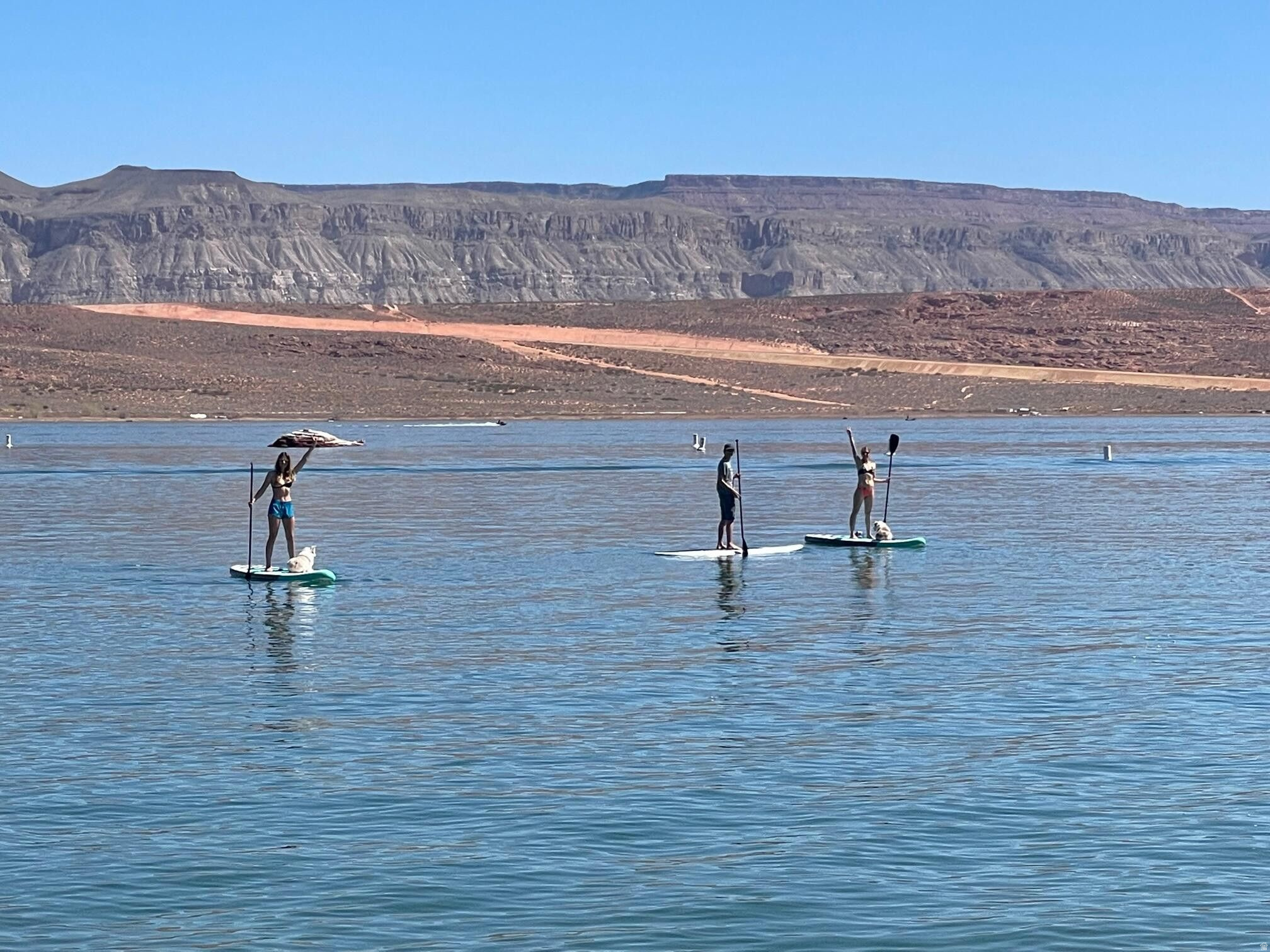 DIXIE SPRINGS - Residential