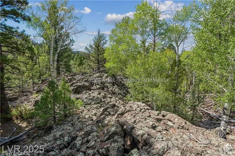 937 E Black Rock Cir #49, Hatch, Utah image 12