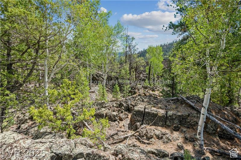 937 E Black Rock Cir #49, Hatch, Utah image 11