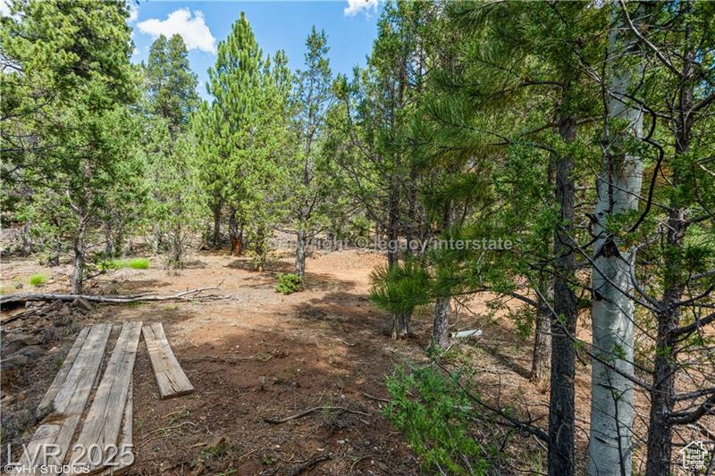 937 E Black Rock Cir #49, Hatch, Utah image 16