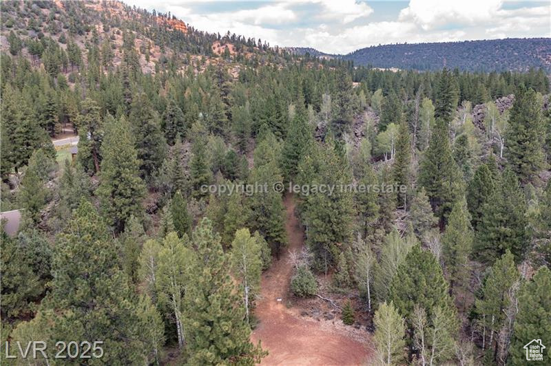 937 E Black Rock Cir #49, Hatch, Utah image 26
