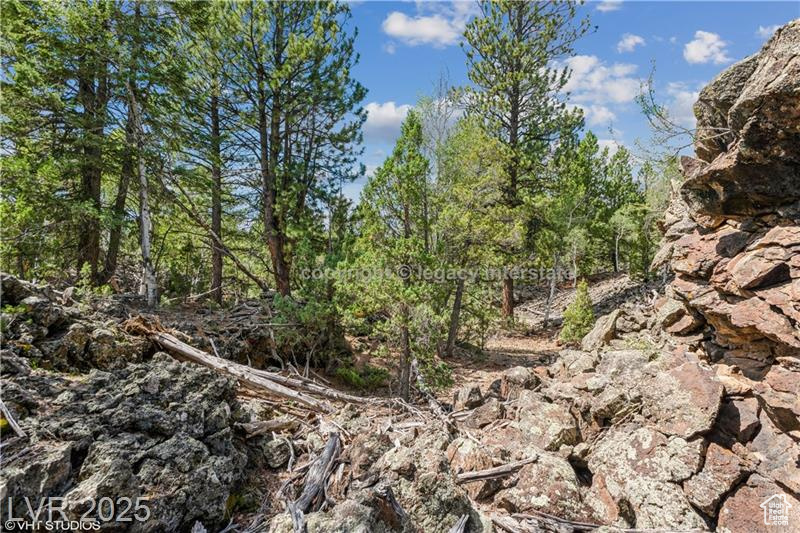 937 E Black Rock Cir #49, Hatch, Utah image 10