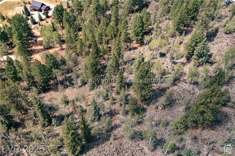 937 E Black Rock Cir #49, Hatch, Utah image 28