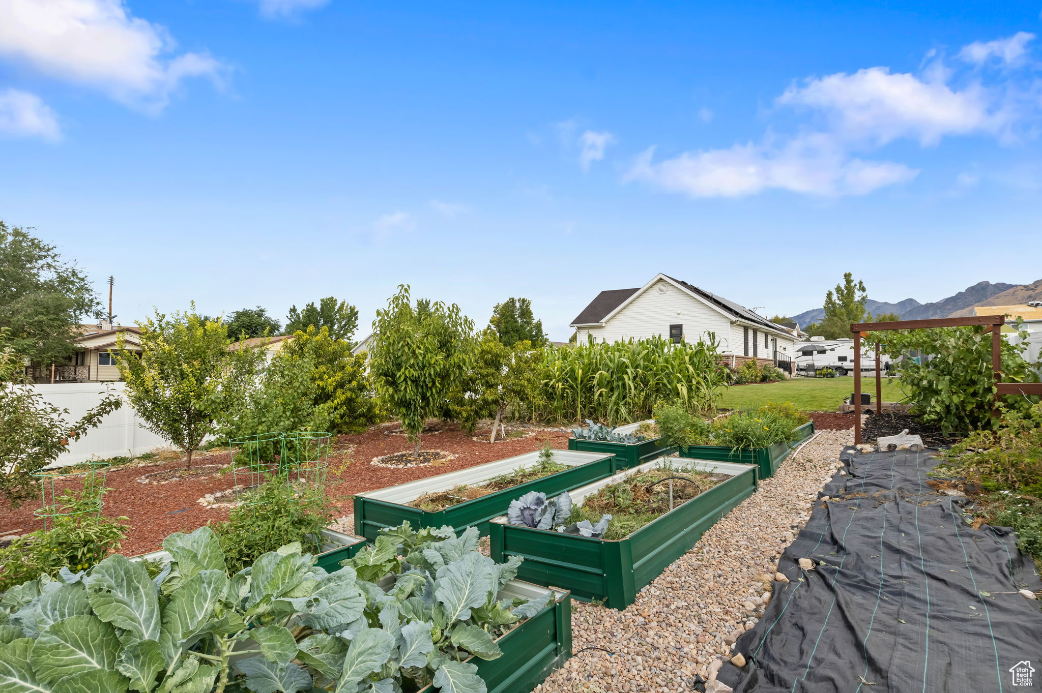 TIMPANOGOS MEADOW - Residential