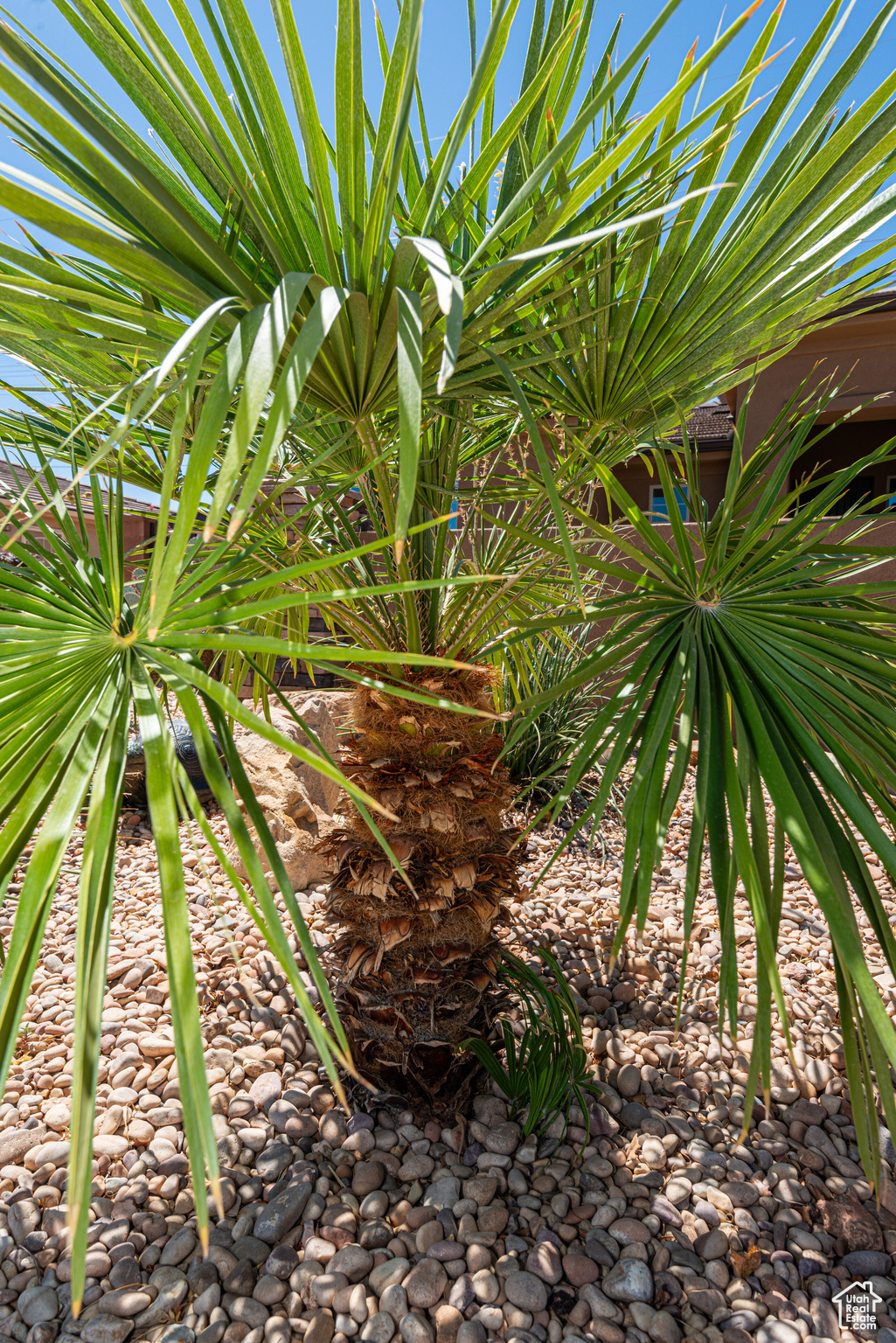 PEREGRINE POINT - Residential