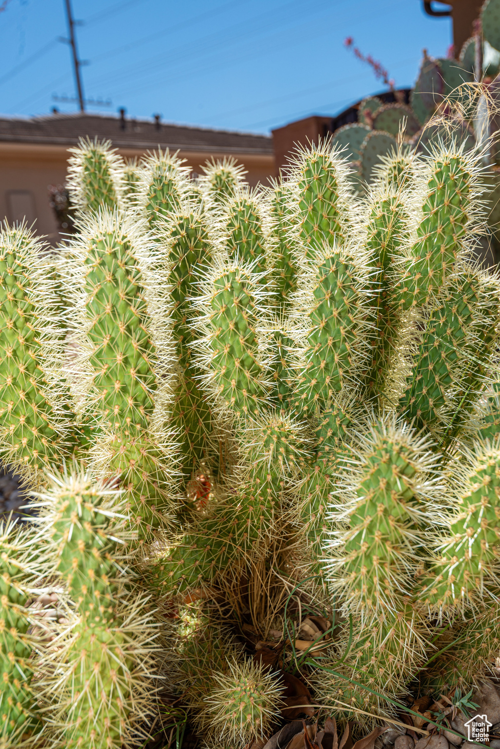 PEREGRINE POINT - Residential