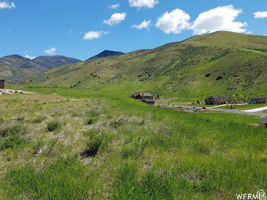 Amazing view lot! No home can be built to take away the south or east views. Unobstructed view of the Morgan Valley and Wasatch Mountains. Use the builder of your choice. One of the final lots in Hidden Hollow Ranch. Check it out!  What a buy!