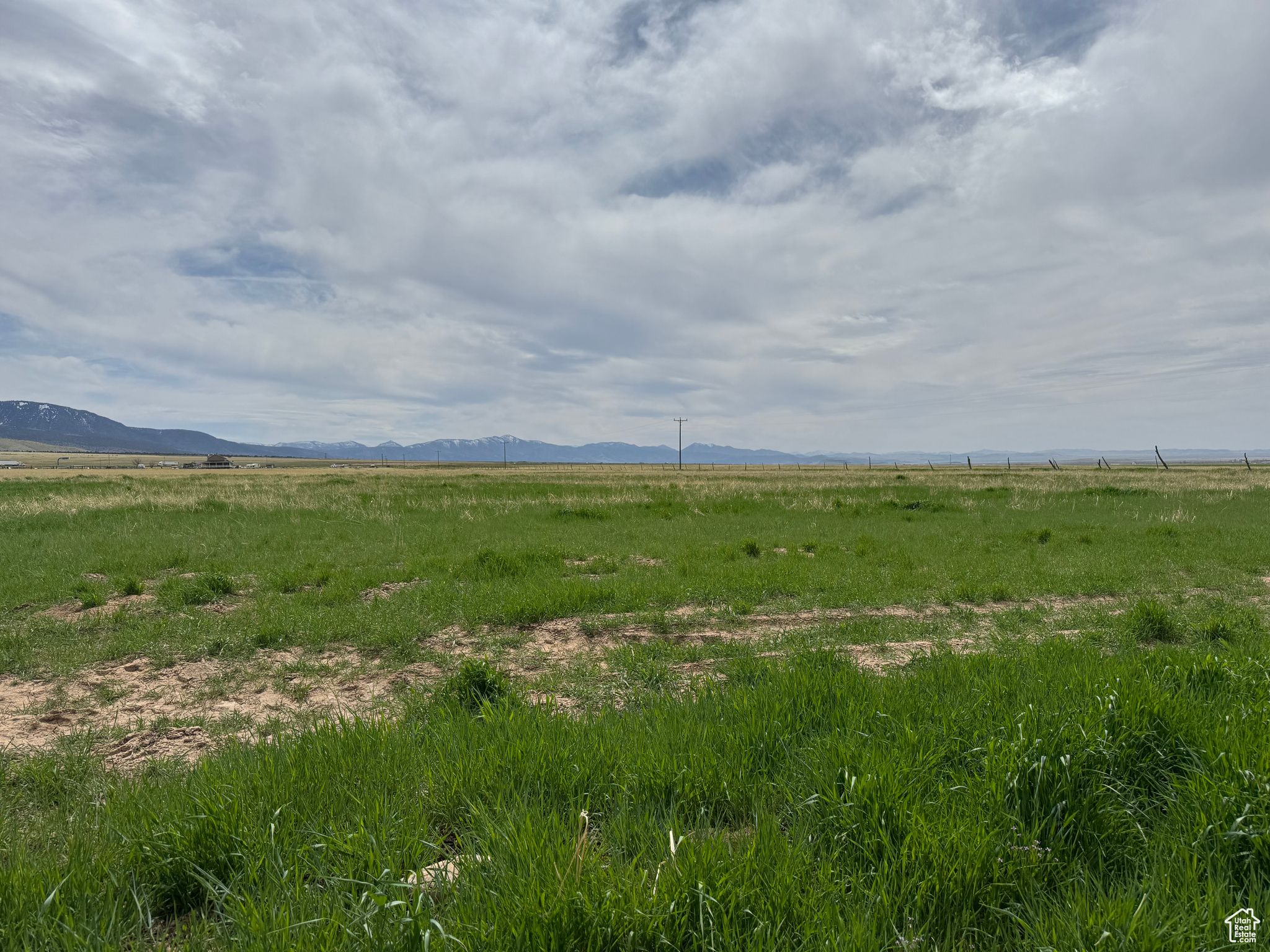 1765 W Sunflower Ln #7, Fillmore, Utah image 2