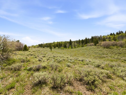 Tiny photo for 23133 E ALTA DR #12, Spanish Fork, UT 84660 (MLS # 2168265)
