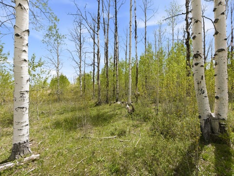 Tiny photo for 23133 E ALTA DR #12, Spanish Fork, UT 84660 (MLS # 2168265)