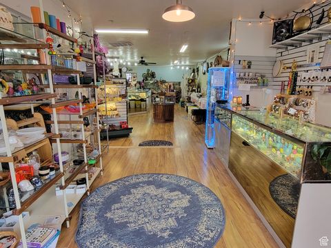 Tiny photo for 33 W MAIN ST, Santaquin, UT 84655 (MLS # 2115665)