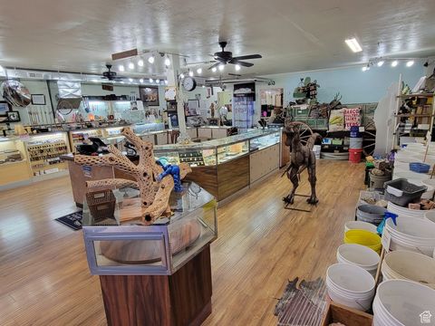 Tiny photo for 33 W MAIN ST, Santaquin, UT 84655 (MLS # 2115665)