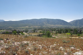 THE RETREAT AT WOLF - Land