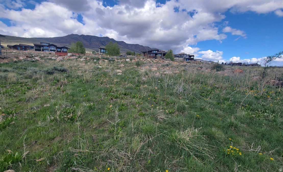 THE RETREAT AT WOLF - Land