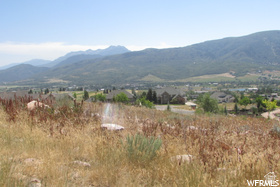 THE RETREAT AT WOLF - Land