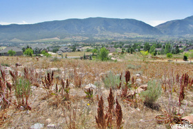 THE RETREAT AT WOLF - Land