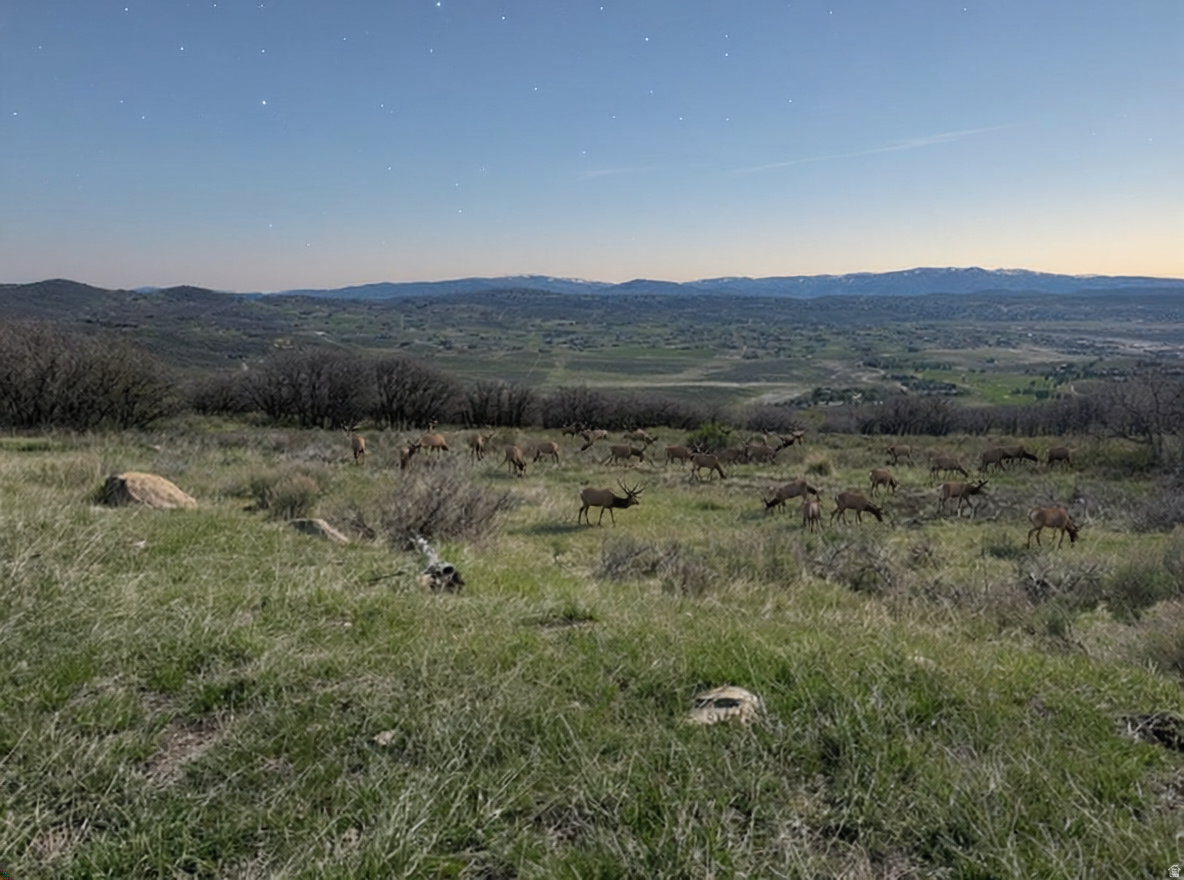 THE RANCHES AT THE PRESERVE - Land