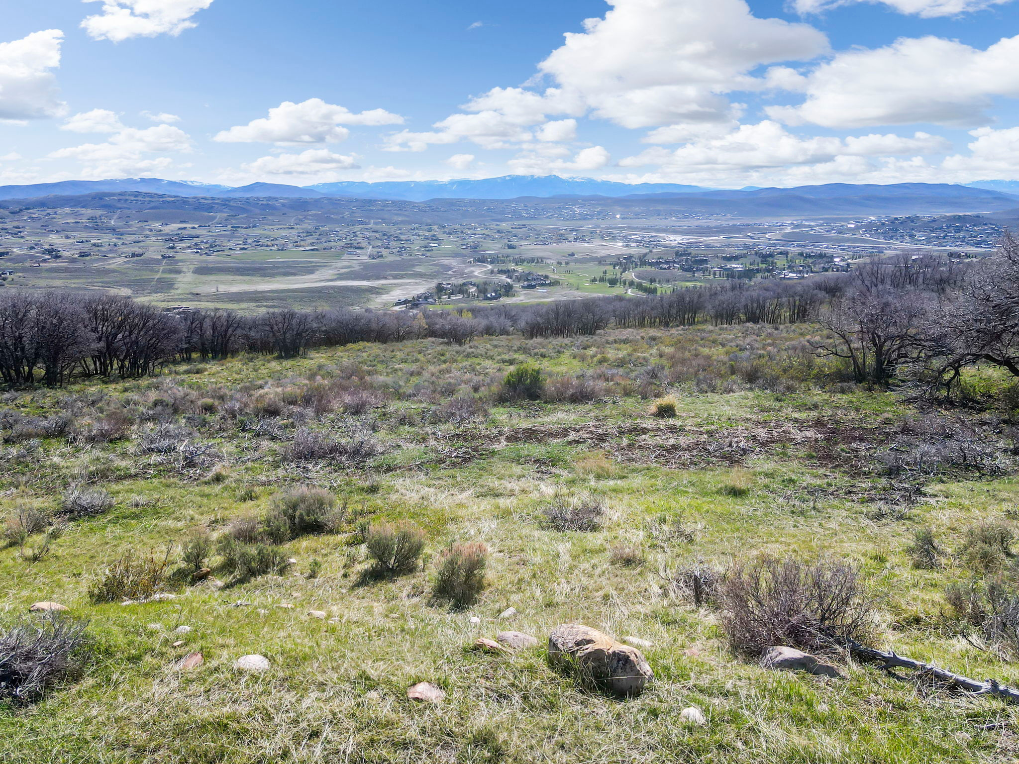 THE RANCHES AT THE PRESERVE - Land