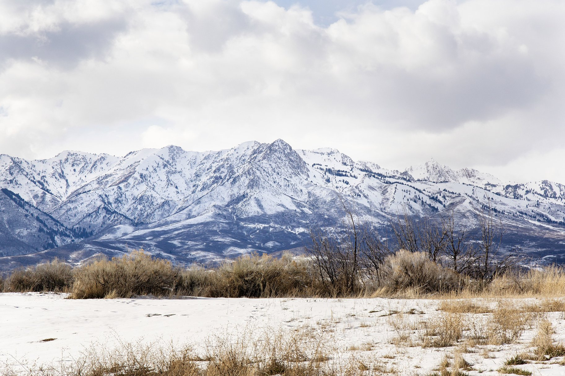 COTTONWOOD HILLS - Land