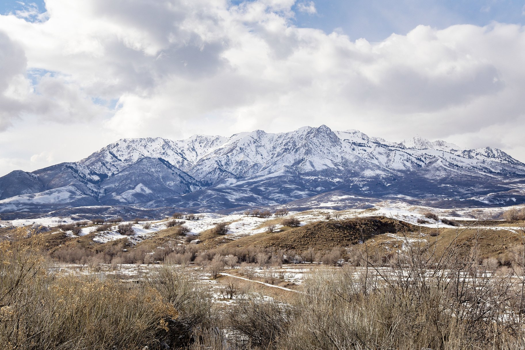 COTTONWOOD HILLS - Land