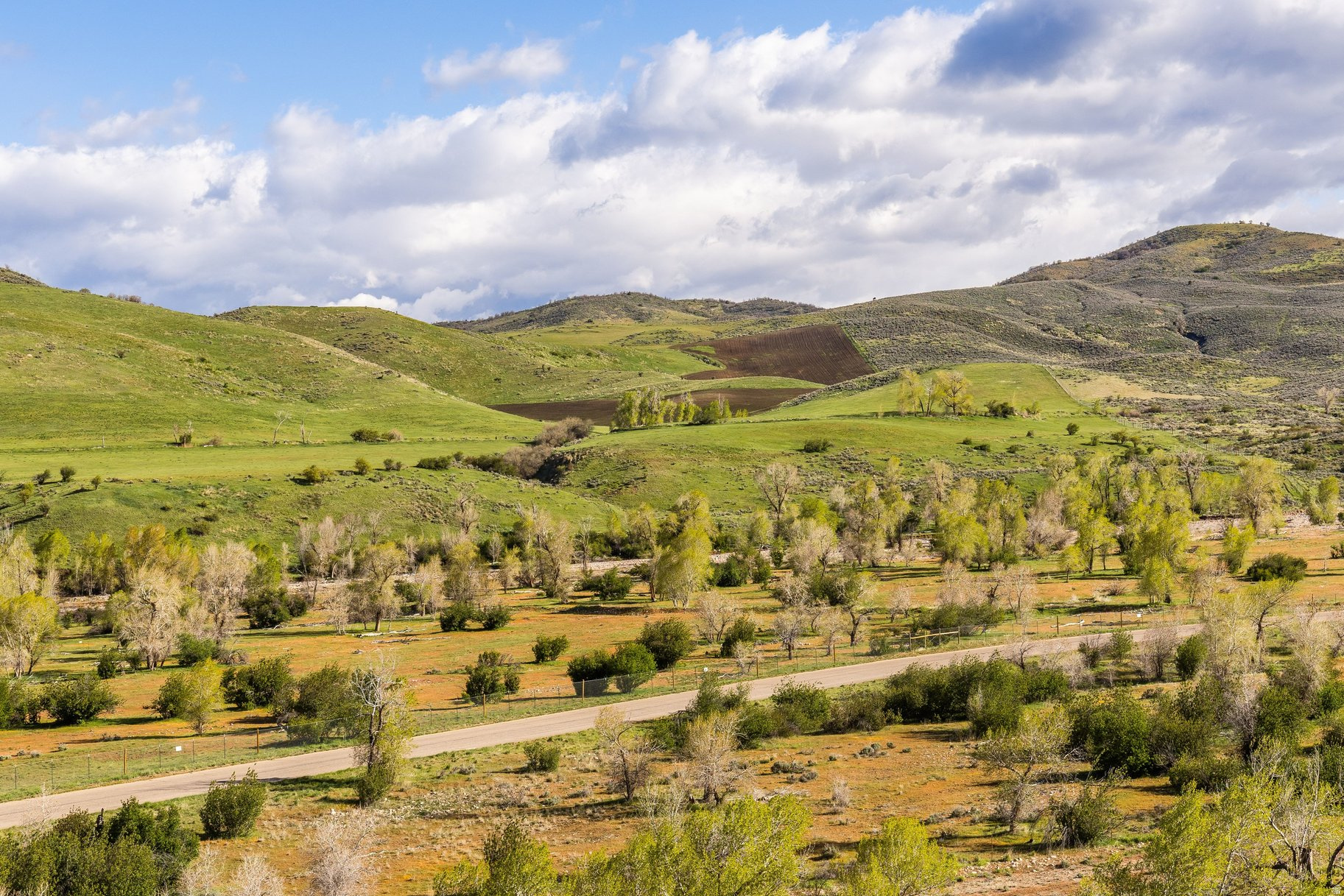 COTTONWOOD HILLS - Land