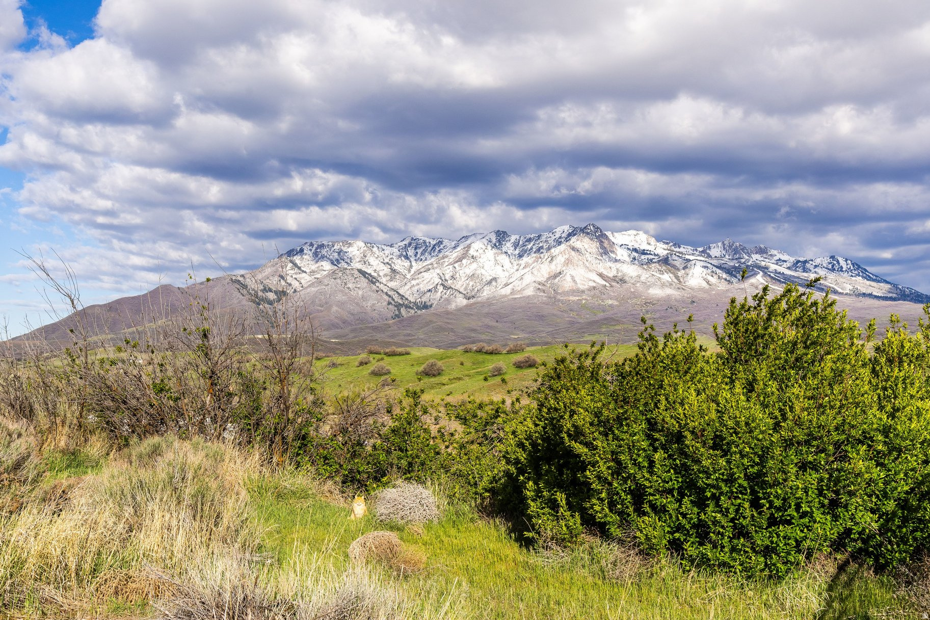 COTTONWOOD HILLS - Land