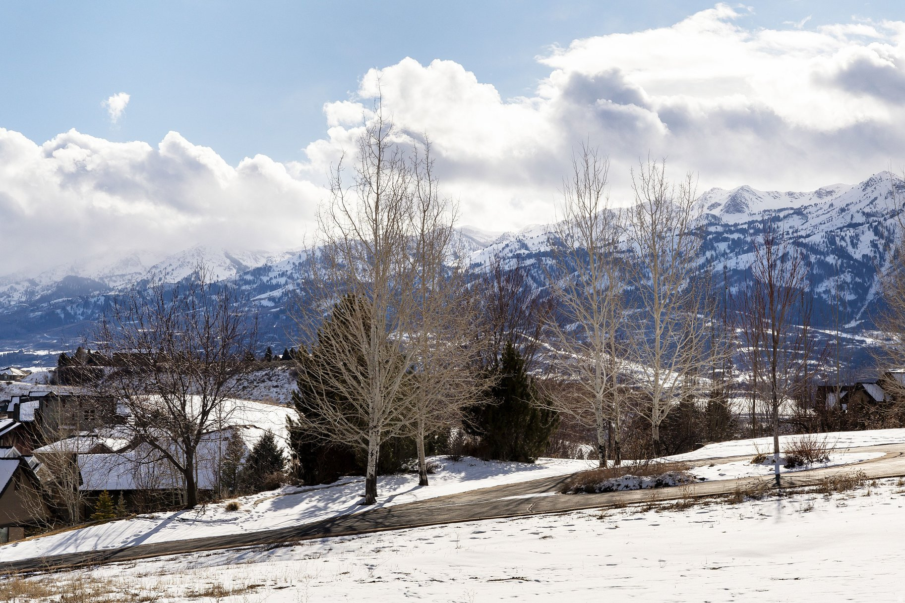 COTTONWOOD HILLS - Land