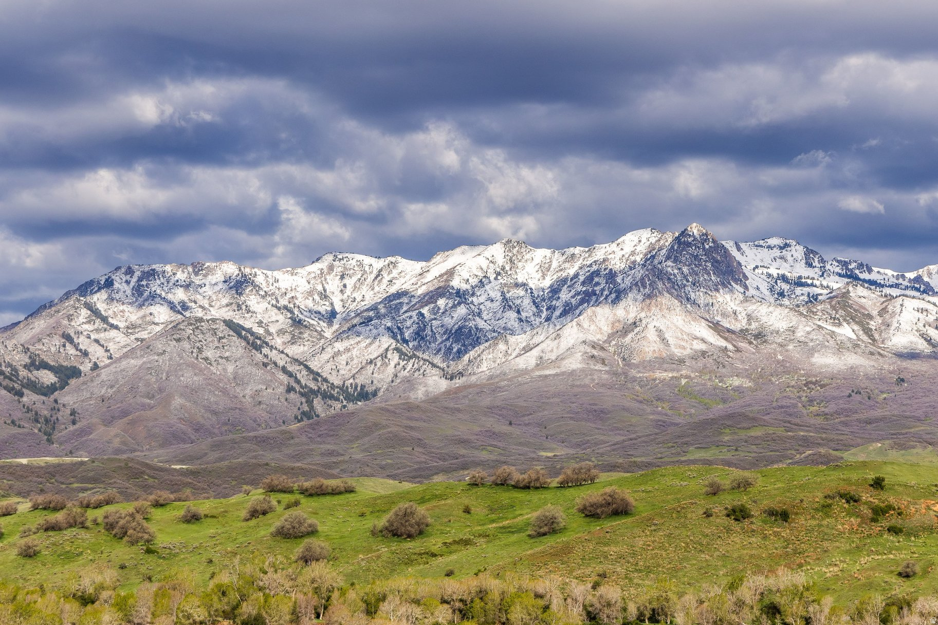COTTONWOOD HILLS - Land