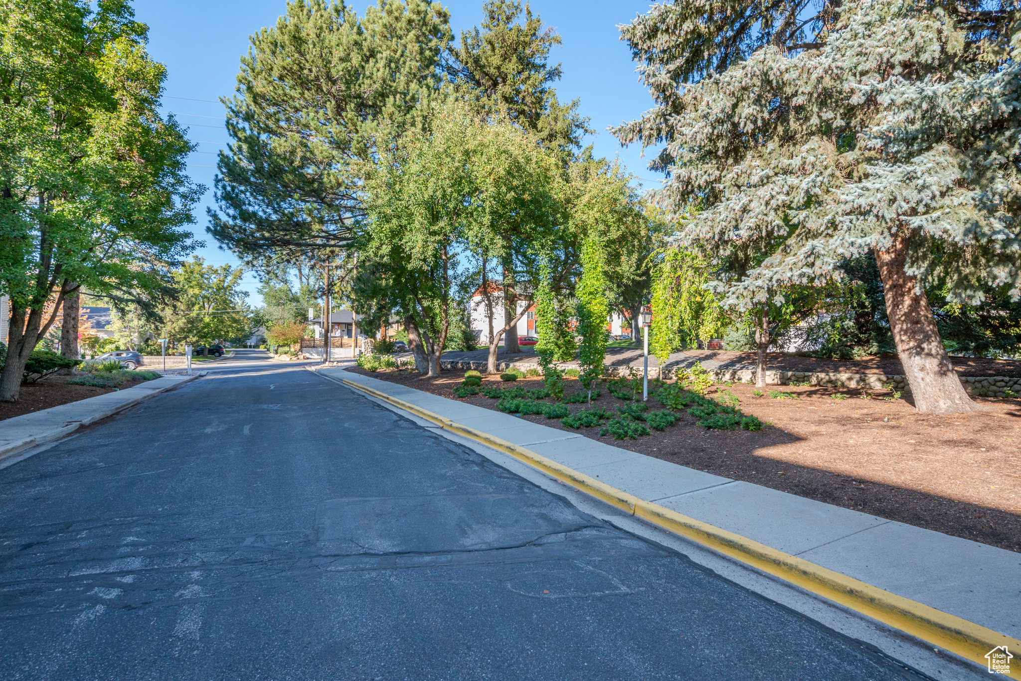 COLONIAL PINES CONDO - Residential