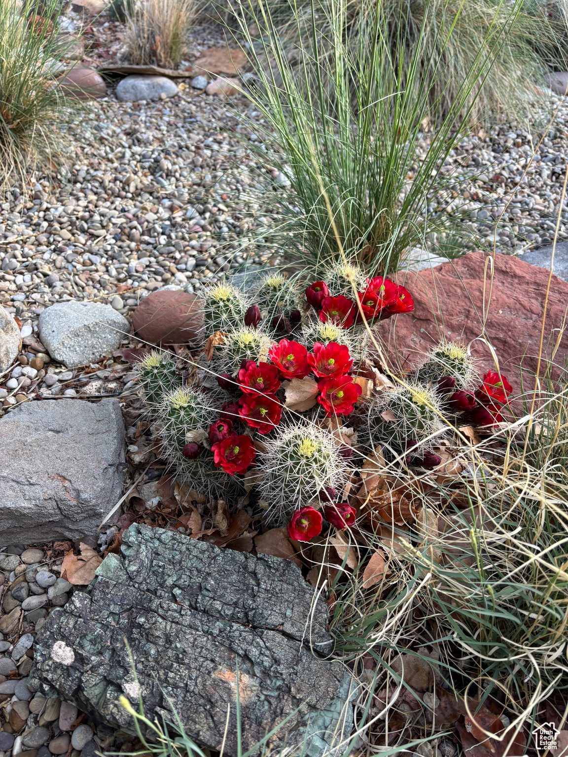 Moab, Utah 84532, United States, 3 Bedrooms Bedrooms, ,2 BathroomsBathrooms,Residential,Active,147743