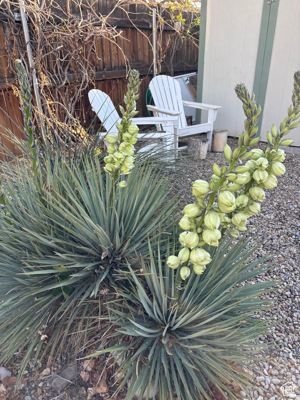 Moab, Utah 84532, United States, 3 Bedrooms Bedrooms, ,2 BathroomsBathrooms,Residential,Active,147743