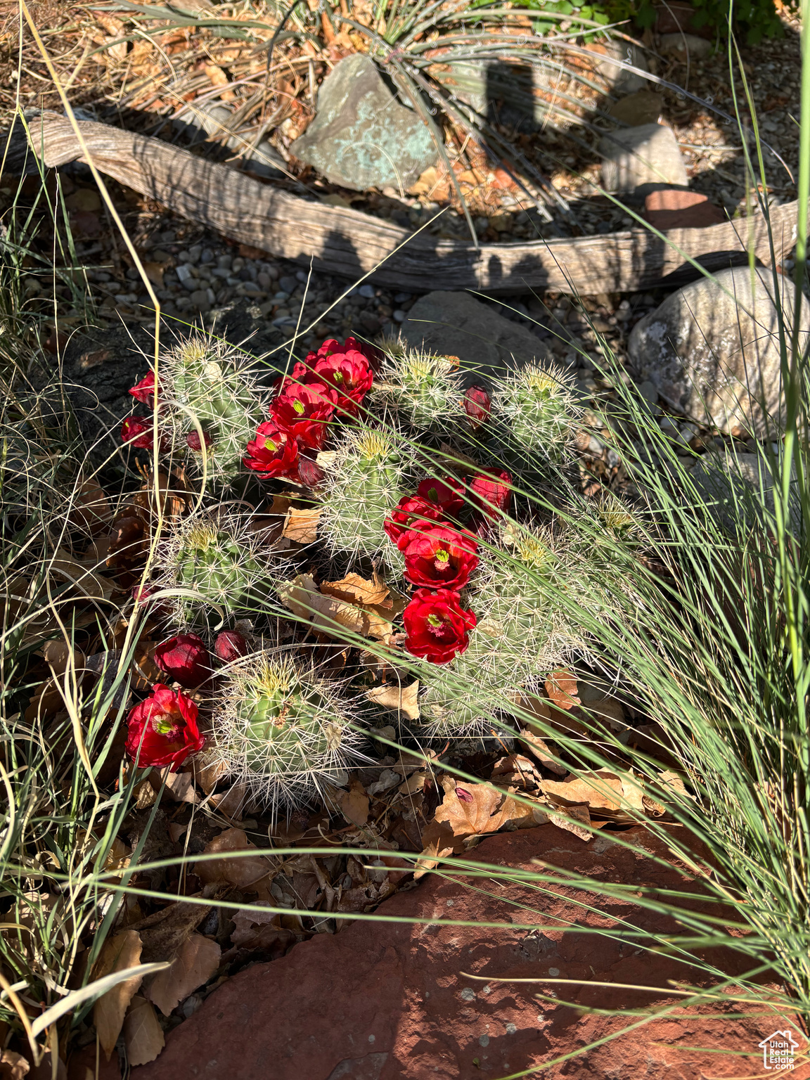 Moab, Utah 84532, United States, 3 Bedrooms Bedrooms, ,2 BathroomsBathrooms,Residential,Active,147743